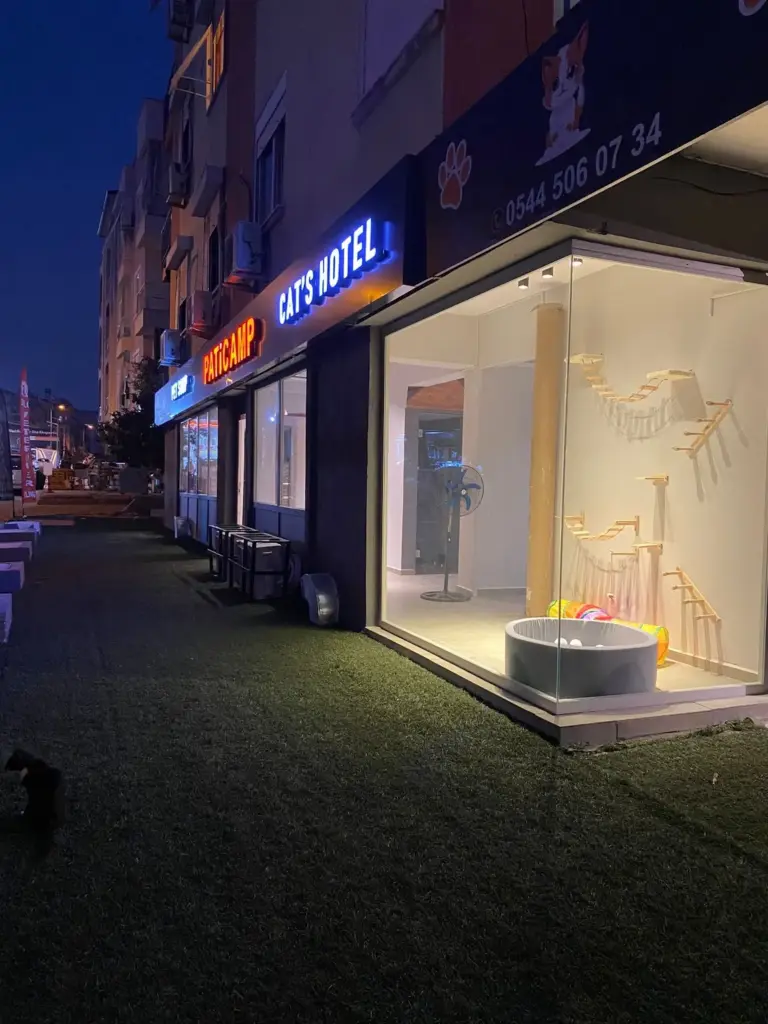 paticamp antalya petshop kedi oteli cats hotel c074b31a