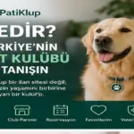 Patiklup Türkiye’nin Pet Kulübü ve pet hizmetleri platformu