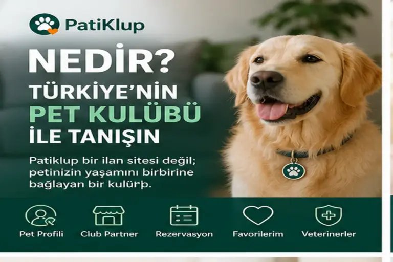 Patiklup Türkiye’nin Pet Kulübü ve pet hizmetleri platformu