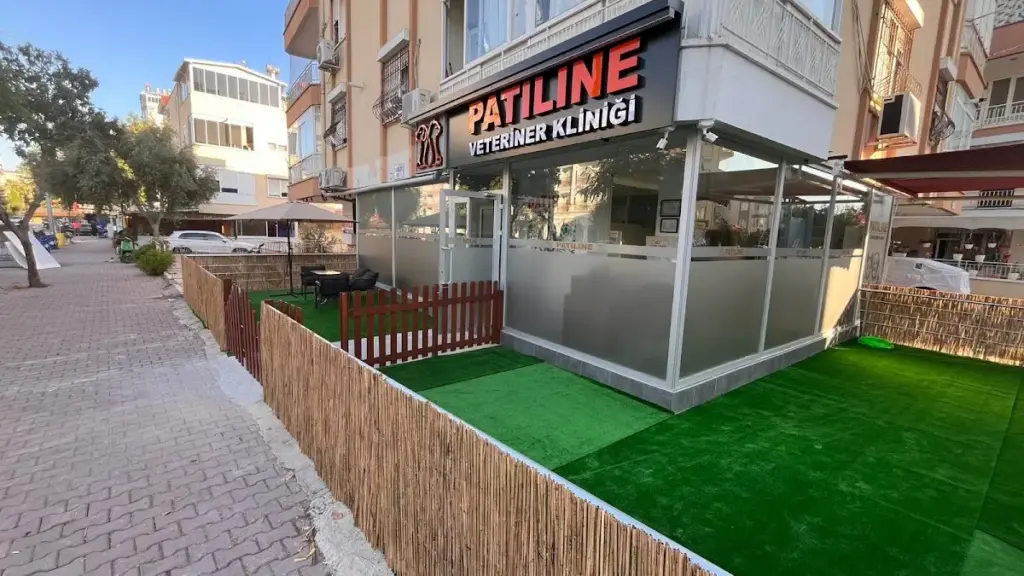 patiline veteriner klinigi d8049533