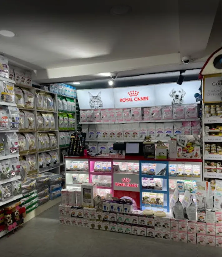 patimama pet market besiktas 603f6eaf