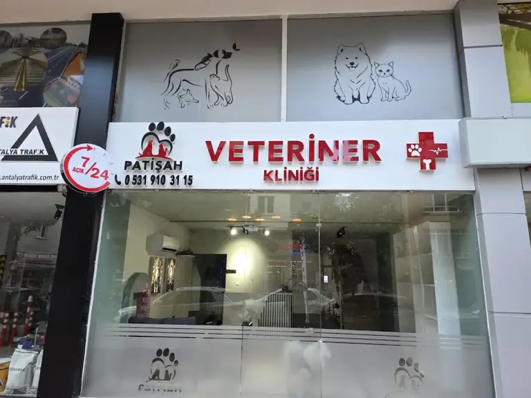 Patişah Veteriner Kliniği Antalya