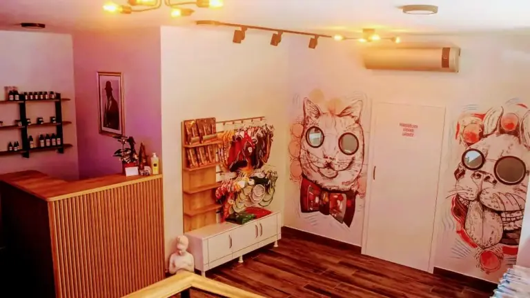 paw art pet salon 4e7f36a5