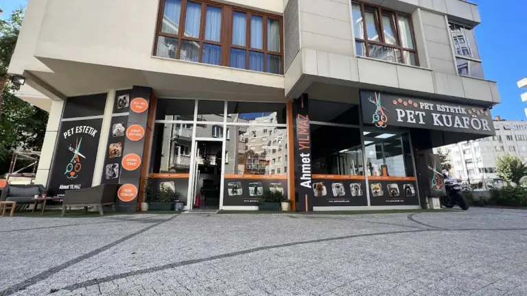 pet estetik pet kuafor 25e82397