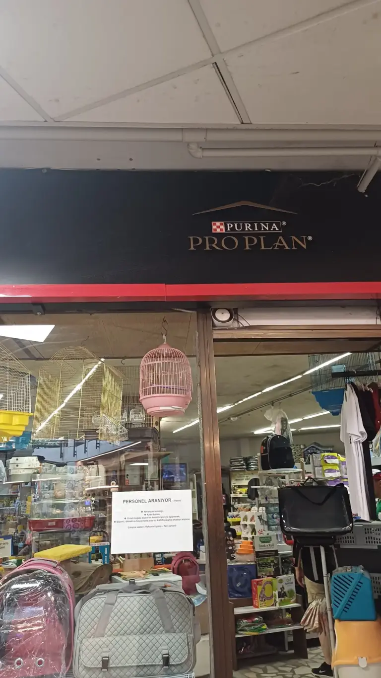 pet store 79113b95