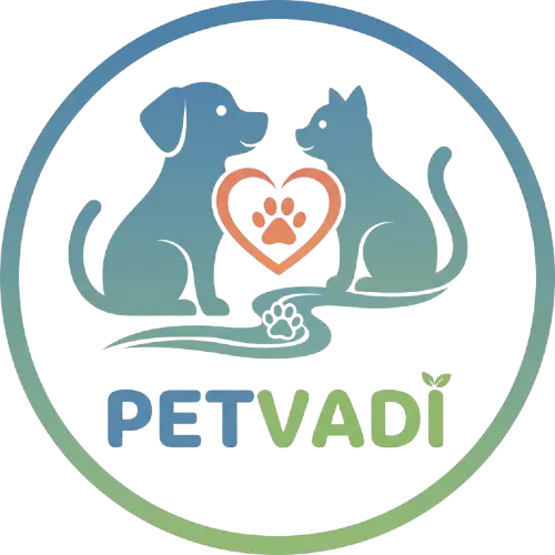 pet vadi profile ZwKCYo