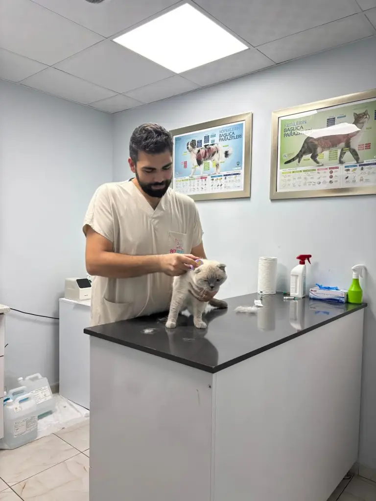 pet world veteriner klinigi 6c31d984