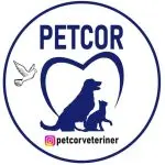 petcor veteriner klinigi7 24 acil nobetci veteriner okmeydani sisli profile 4ZCY4k