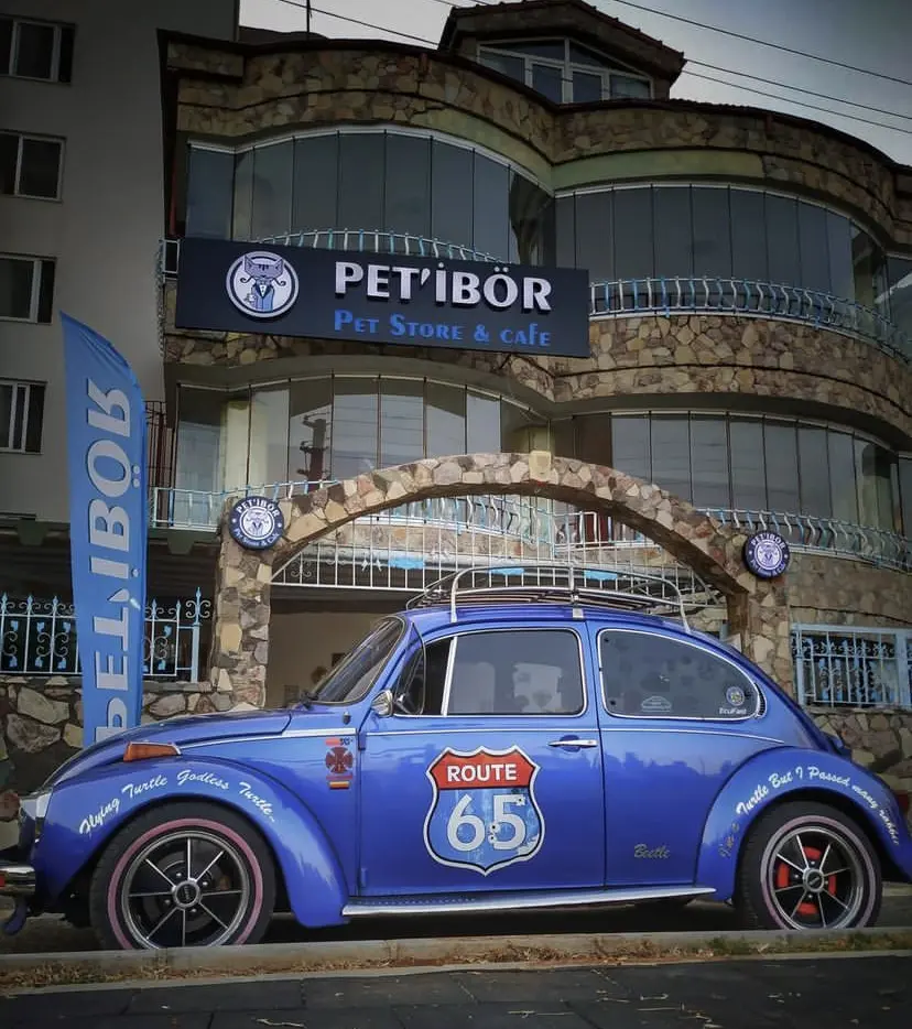 petibor pet shop ve kafe mersin f718a37d