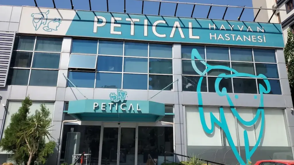 petical hayvan hastanesi veteriner mersin b0dd9464
