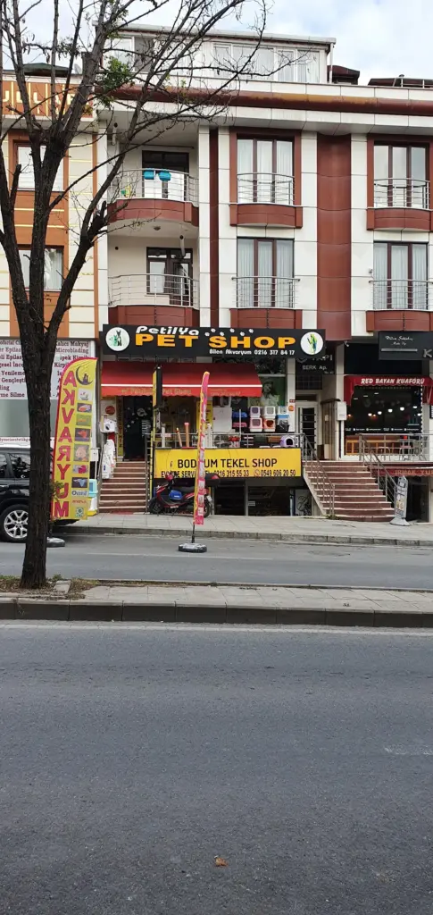 petilya pet shop atasehir ac617909