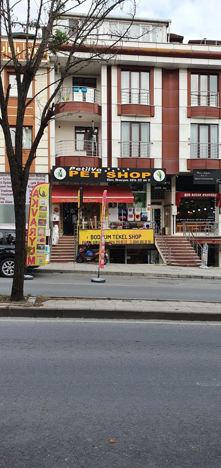 petilya pet shop atasehir ac617909