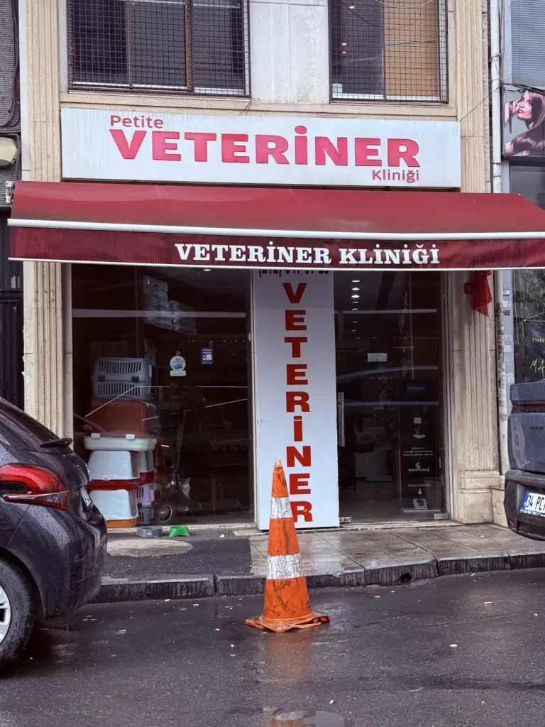 petite veteriner klinigi aced9584
