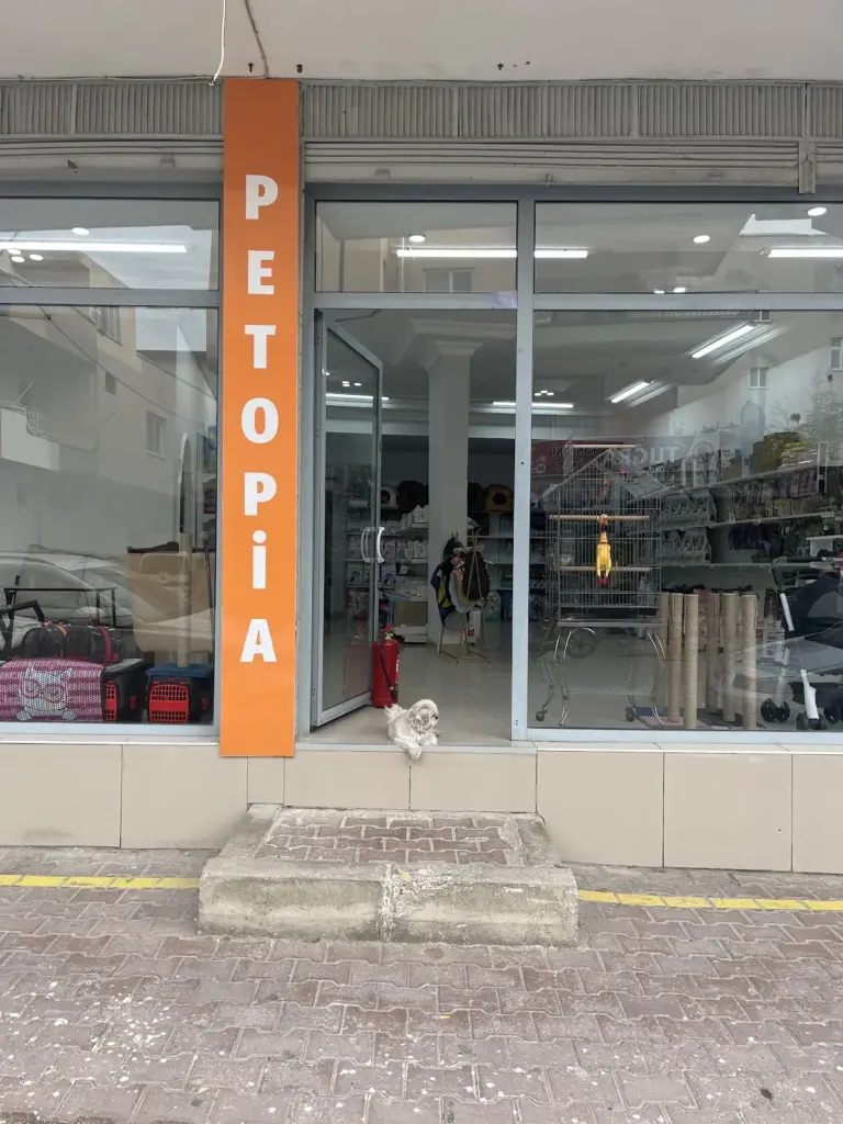 petopia petshop 0ce80333