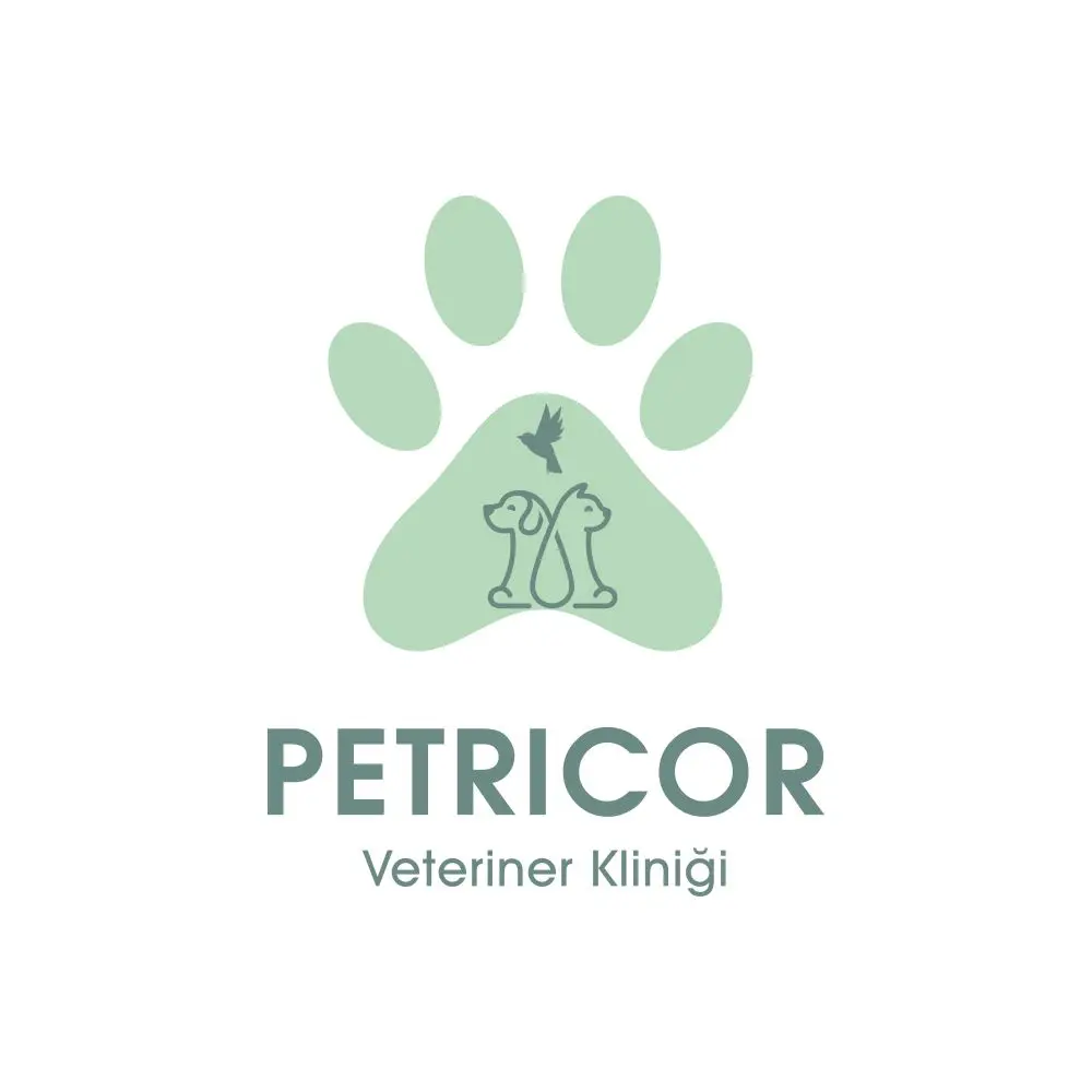 petricor veteriner klinigi beylikduzu veteriner profile 6h563q