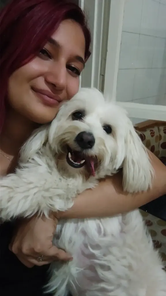 pets care pet otel 1b1d22e6