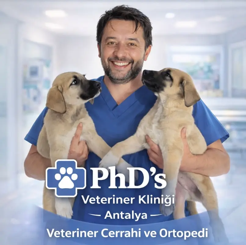 phds veteriner klinigi antalya uzm dr soner cagatay profile Gkk88A