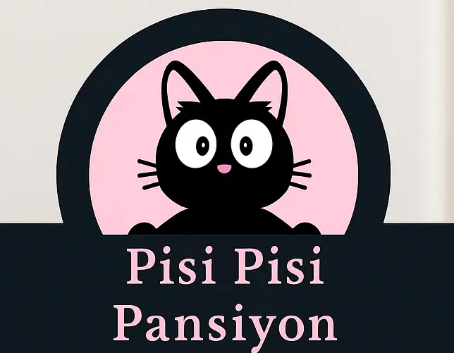 pisi pisi pansiyon kedi oteli kedi pansiyonu pet otel profile YVS6Im