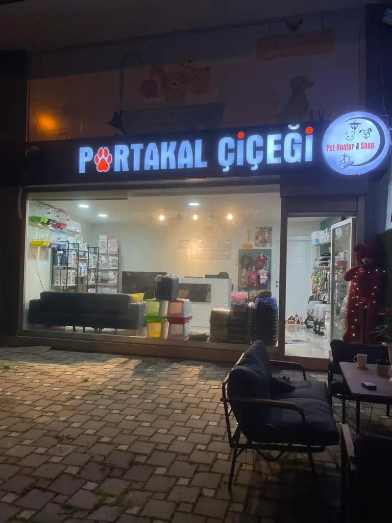 portakal cicegi pet kuafor market ad7a9ab9