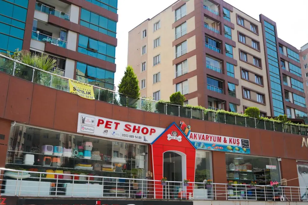 ralf petshop bdeaa372