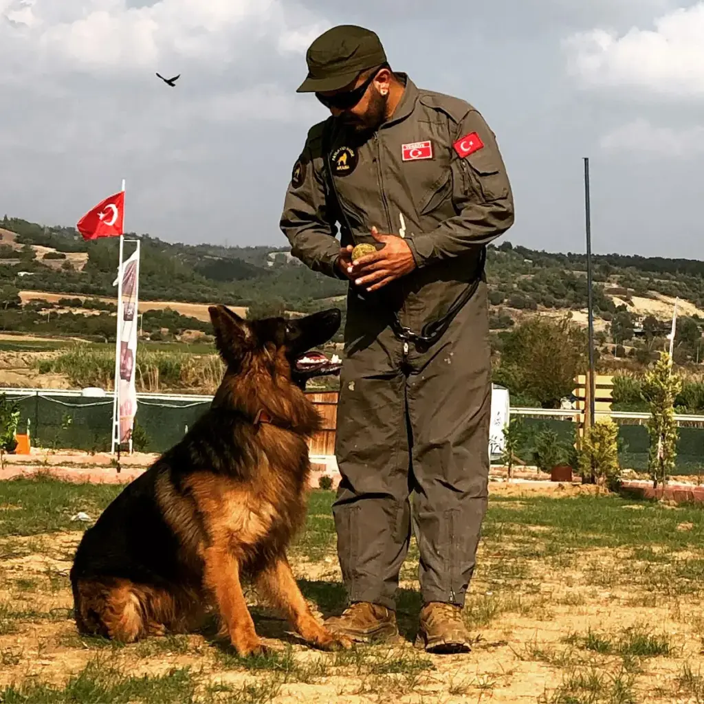rodi kopek egitim merkezi kopek oteli bf34d590