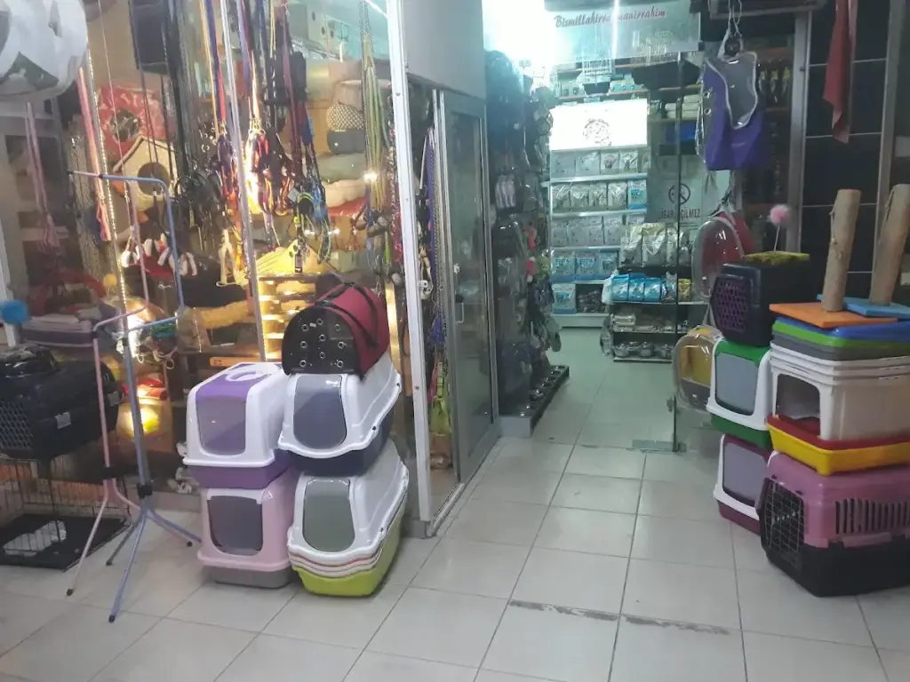 safari petshop 18961249