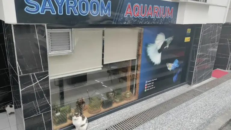 sayroom aquarium akvaryum bf32916a
