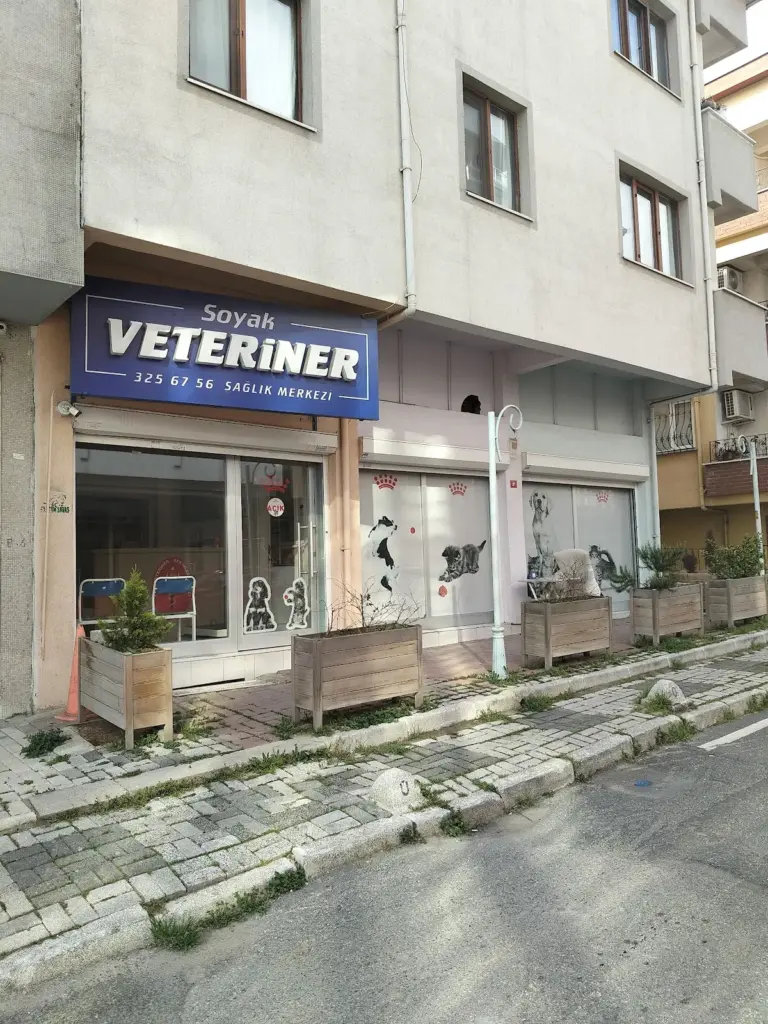 sevimli pet kuafor e25ad0bf