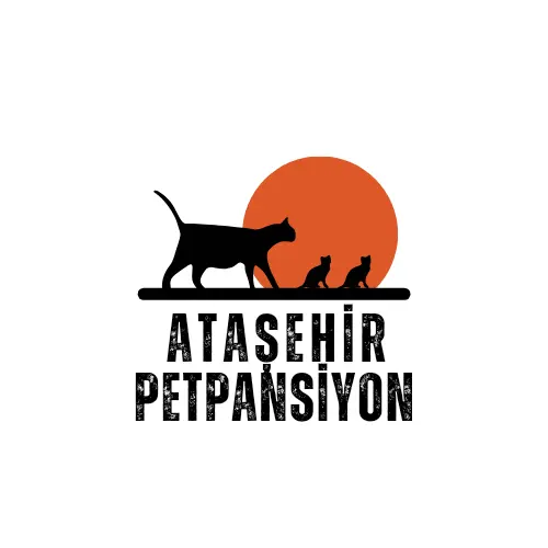 sevinc kedi oteli profile CzDpHB