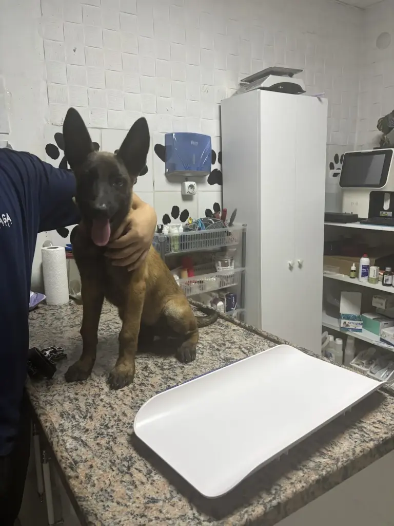 Şifa Veteriner Kliniği