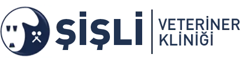sisli veteriner klinigi profile