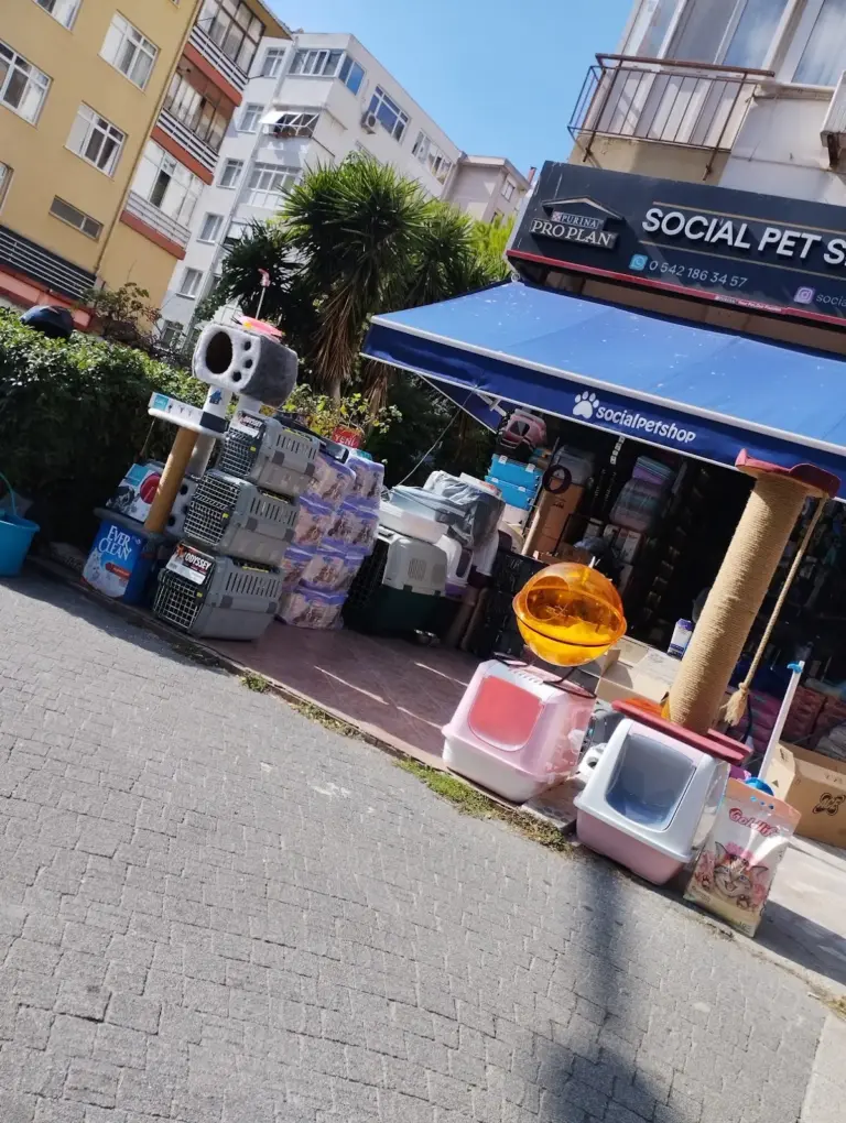 social pet shop 5a51329a