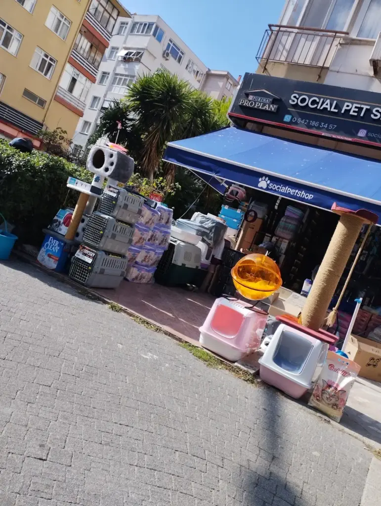 social pet shop 5a51329a