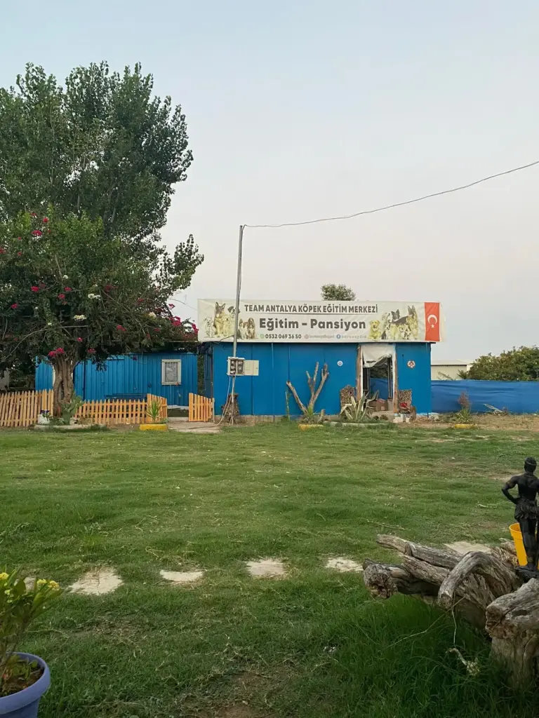 team antalya kopek egitim ve pet otel 0be77e8f