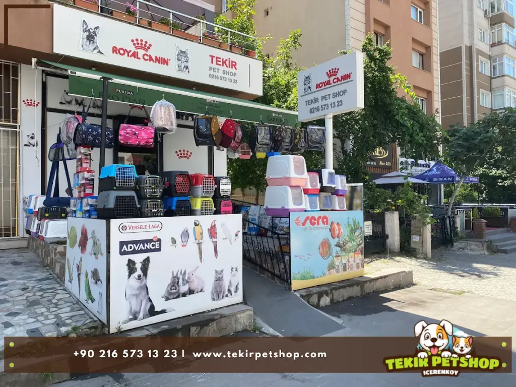 tekir petshop 0c7c3d9c