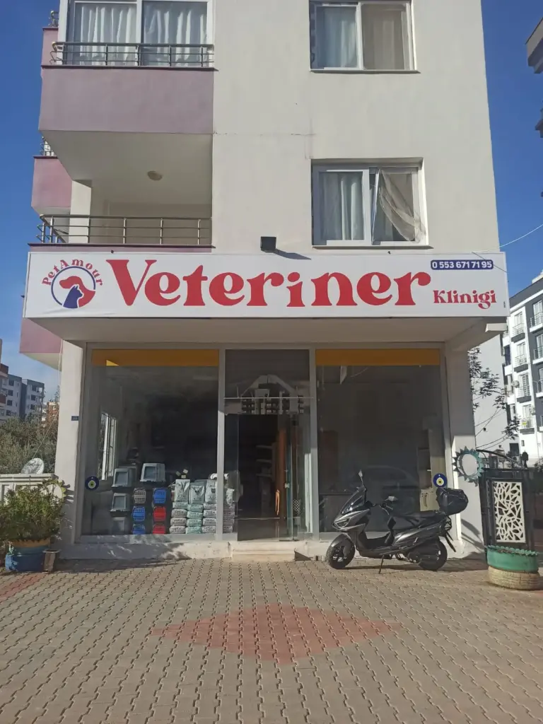 tomuk veteriner klinigi erdemli 51194b43