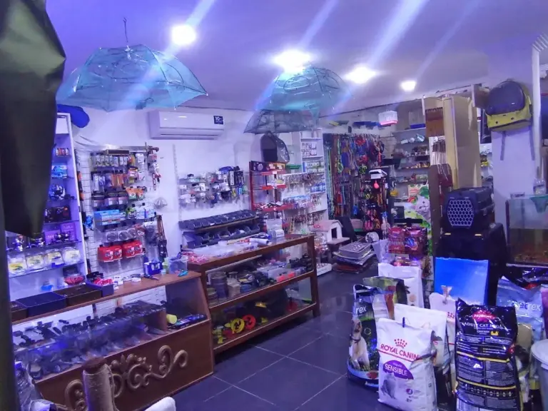 toros av petshop 2cec7f1f