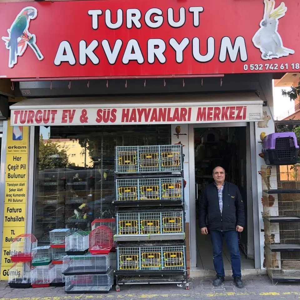 turgut akvaryum 4ba920dc