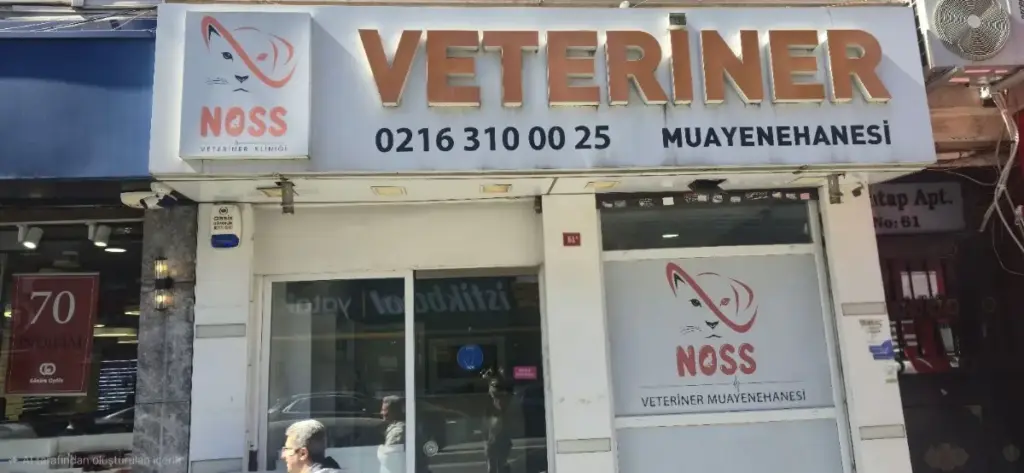 uskudar noss veteriner klinigi a9856e98