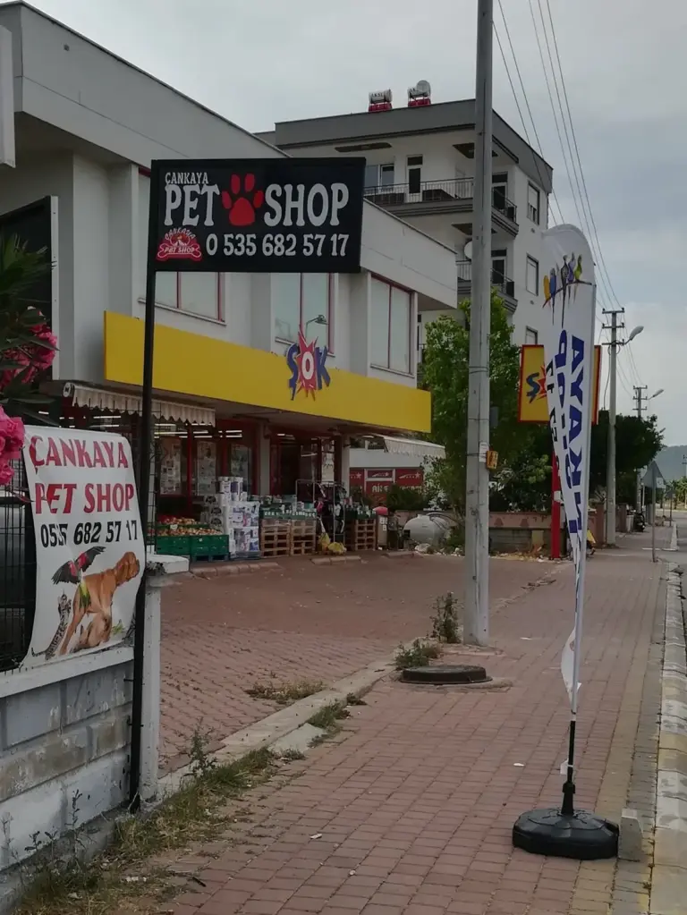 varsak cankaya petshop c2c449d7