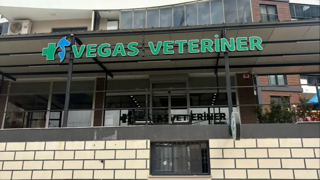 vegas veteriner klinigi 75fbc378