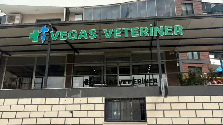 vegas veteriner klinigi 75fbc378