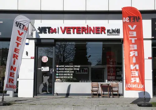 vet34 kartal veteriner klinigi 7 24 acil nobetci veteriner profile