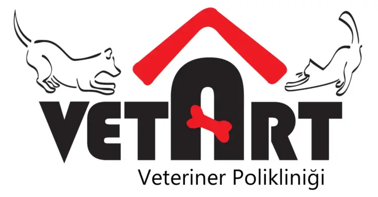 vetart veteriner poliklinigi profile azkdr2