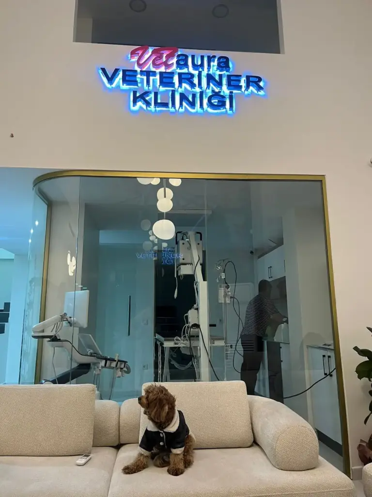 vetaura veteriner klinigi 7 24 acil veteriner beylikduzu 7d08ba00