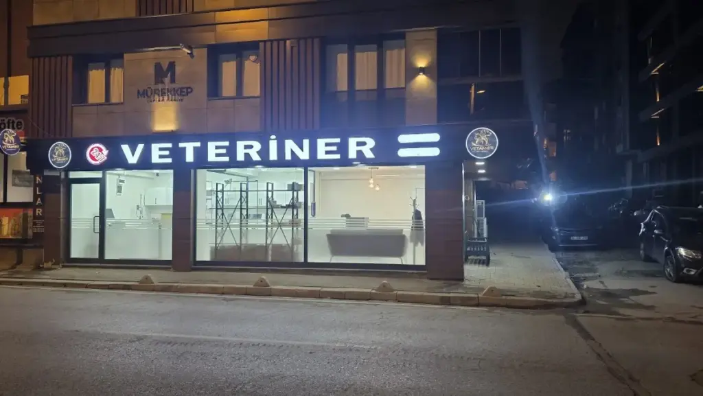 veteriner bahcelievler vetamor istanbul veteriner klinigi yenibosna 7 24 nobetci veteriner klinigi 4e974446