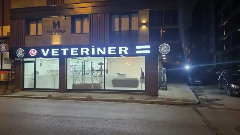 veteriner bahcelievler vetamor istanbul veteriner klinigi yenibosna 7 24 nobetci veteriner klinigi 4e974446
