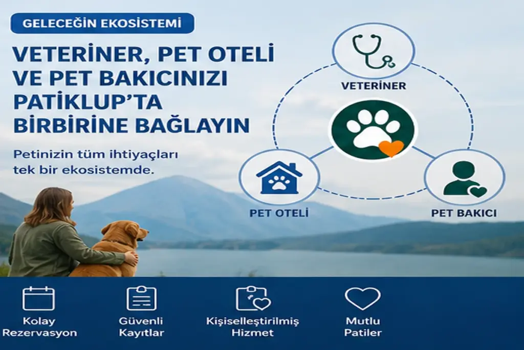 Patiklup ekosisteminde veteriner pet oteli ve pet bakıcısı bağlantısı