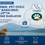 Patiklup ekosisteminde veteriner pet oteli ve pet bakıcısı bağlantısı