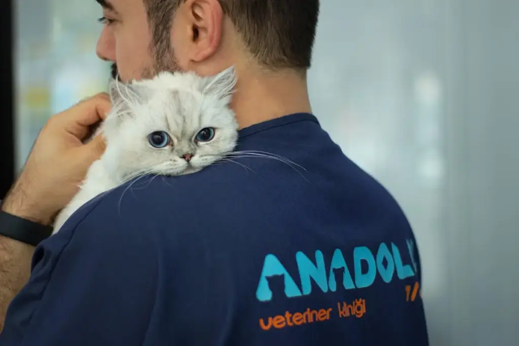 veteriner umraniye anadolu veteriner poliklinigi 24 saat nobetci veteriner 108ffc10